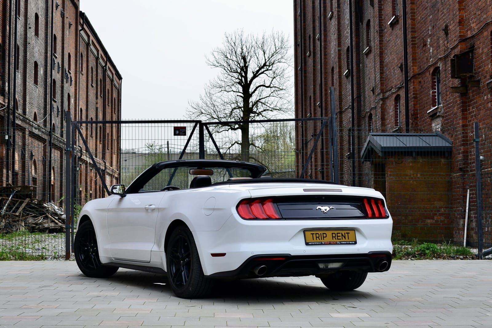 Ford Mustang фото 2
