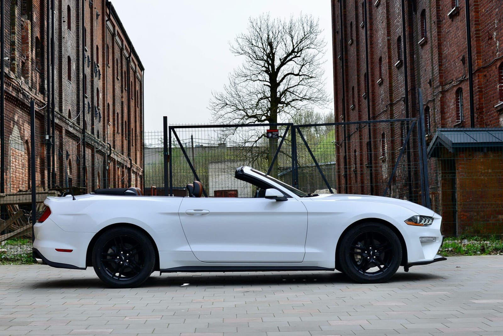 Ford Mustang фото 3
