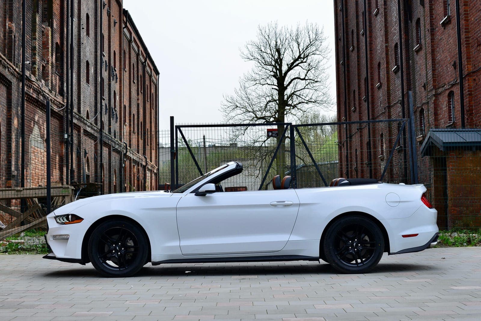 Ford Mustang фото 4