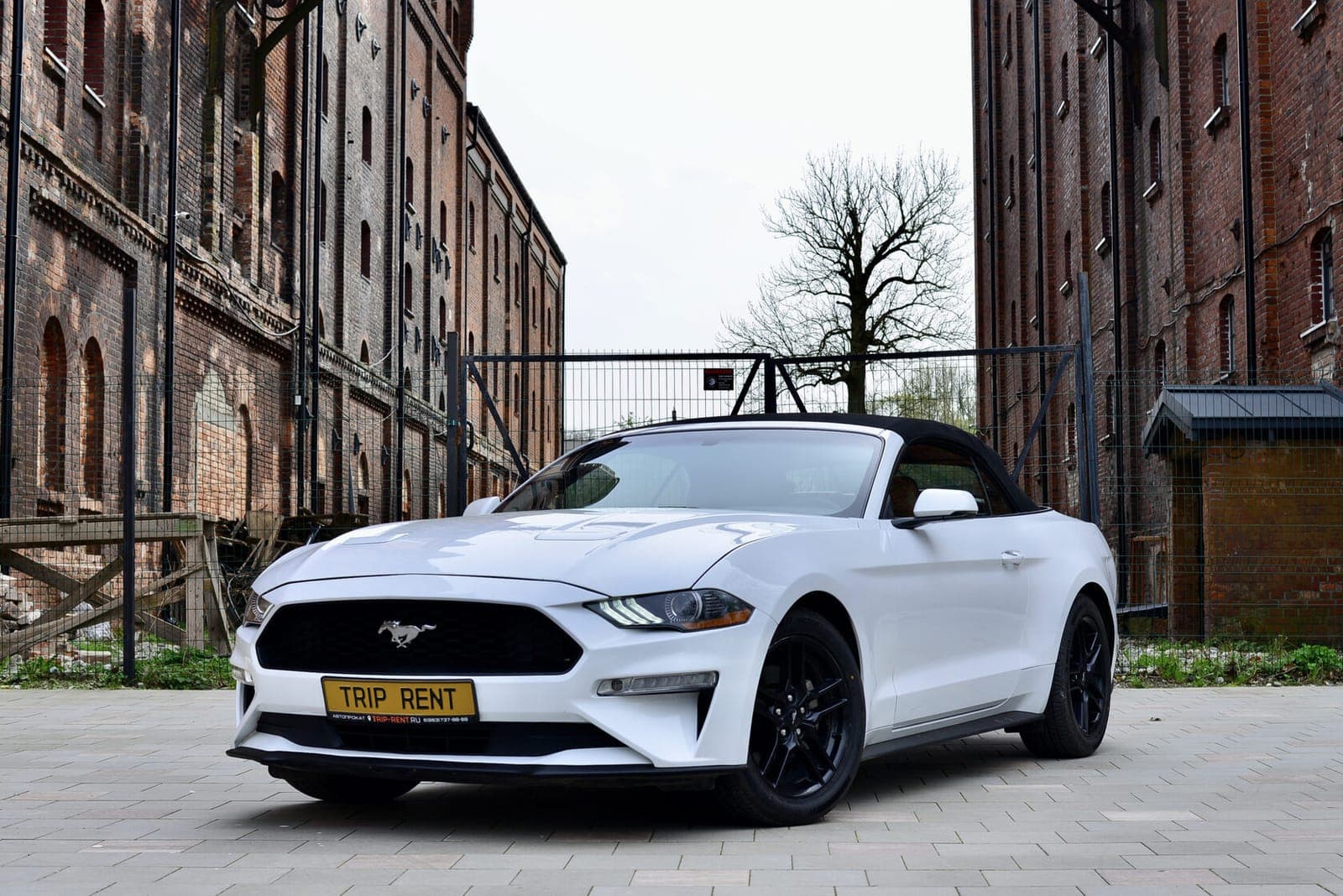 Ford Mustang фото 5