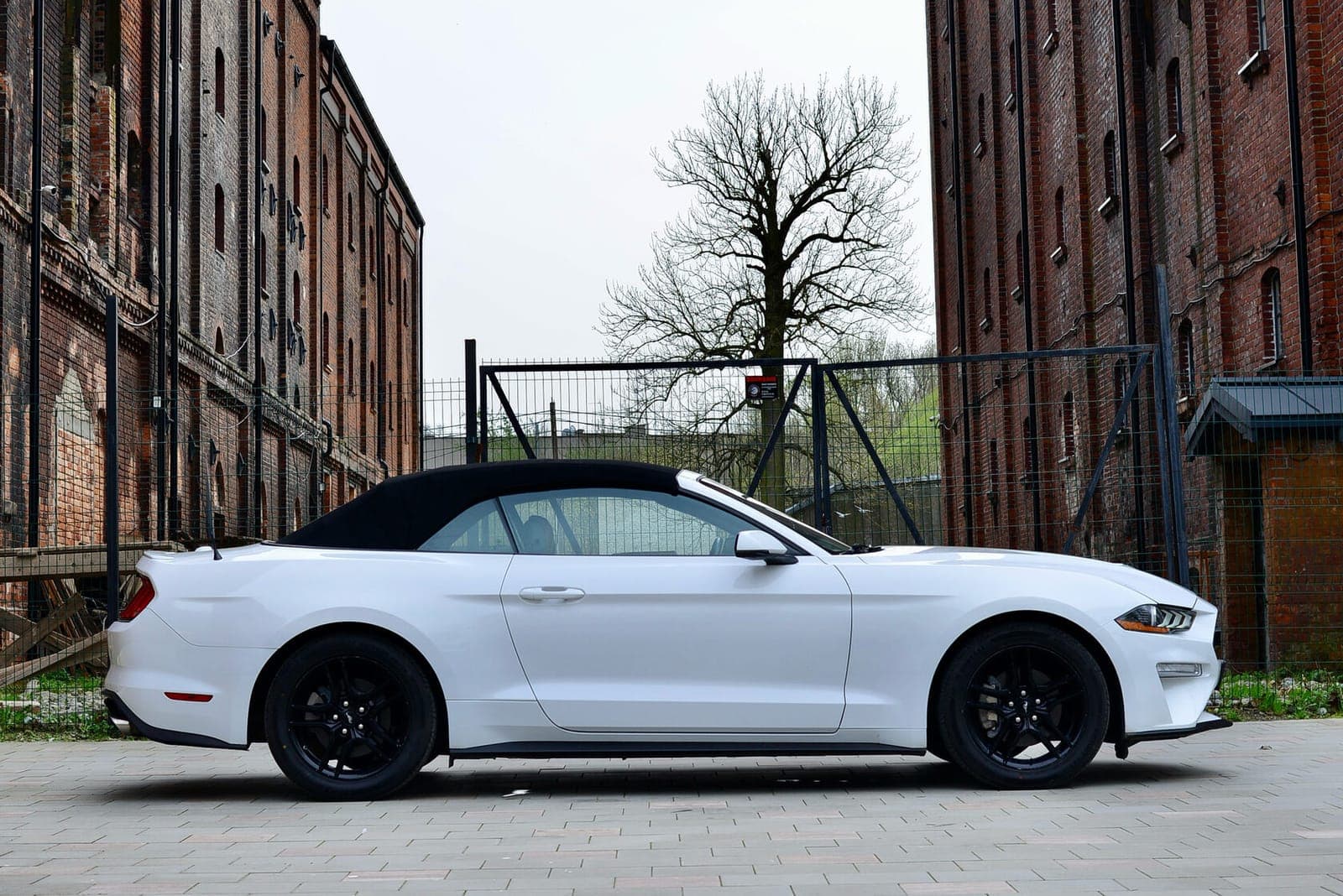 Ford Mustang фото 6