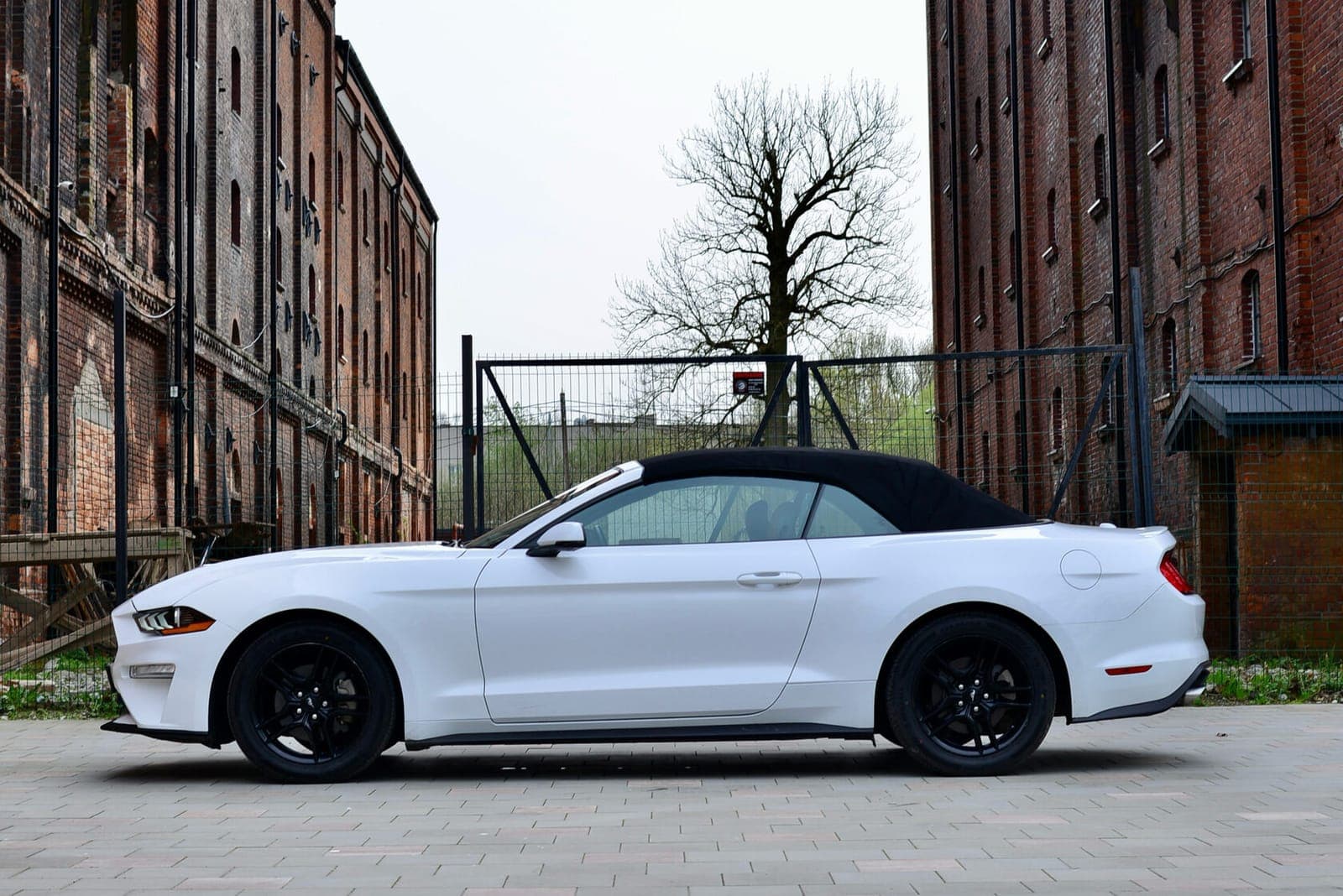 Ford Mustang фото 7