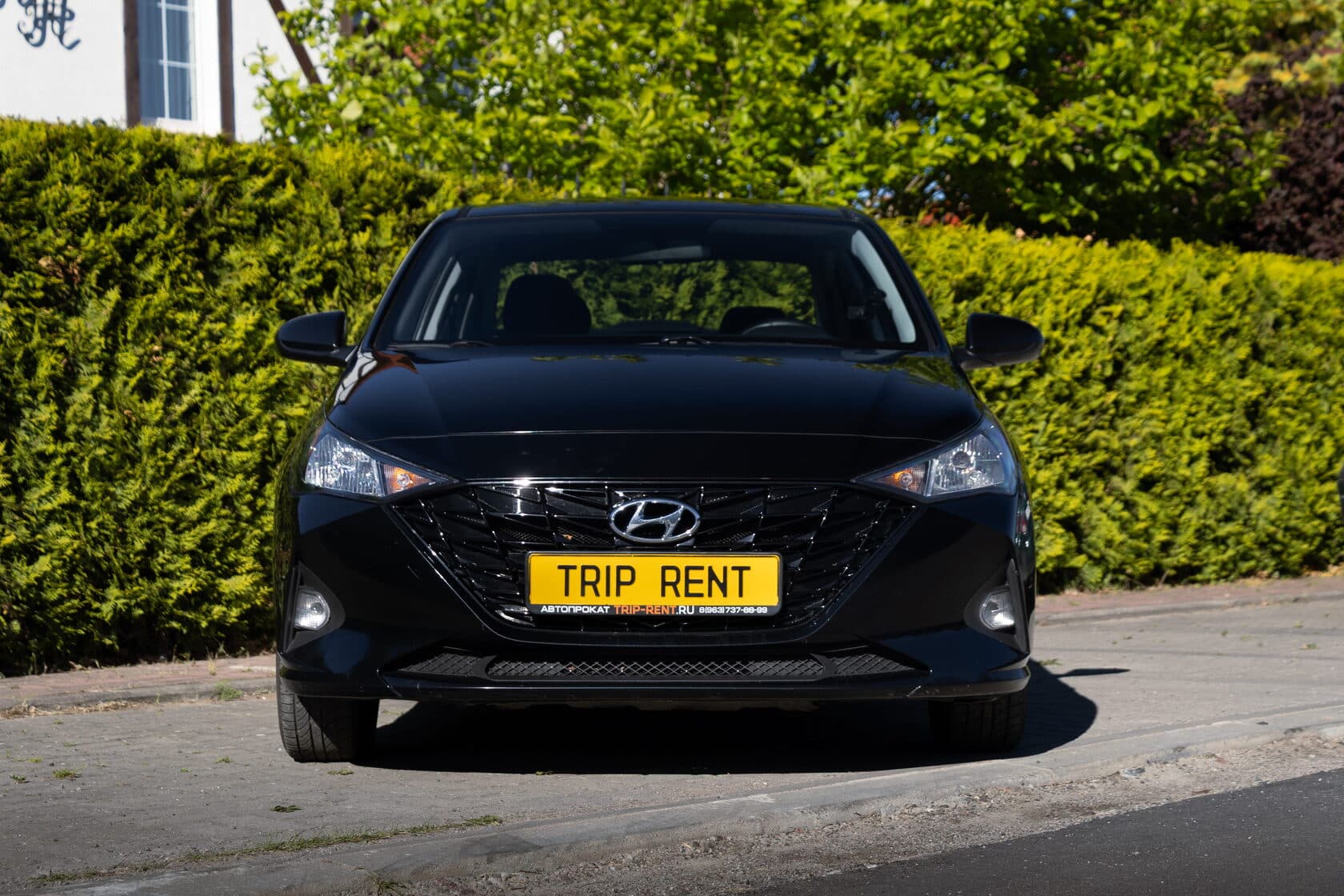 Hyundai Solaris фото 2