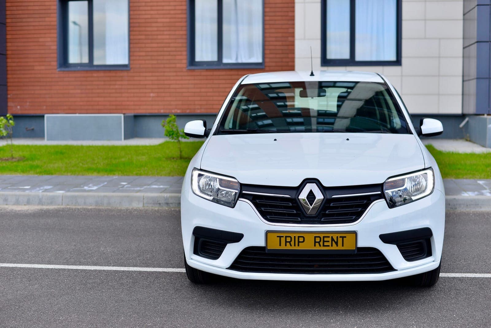 Renault Sandero фото 4