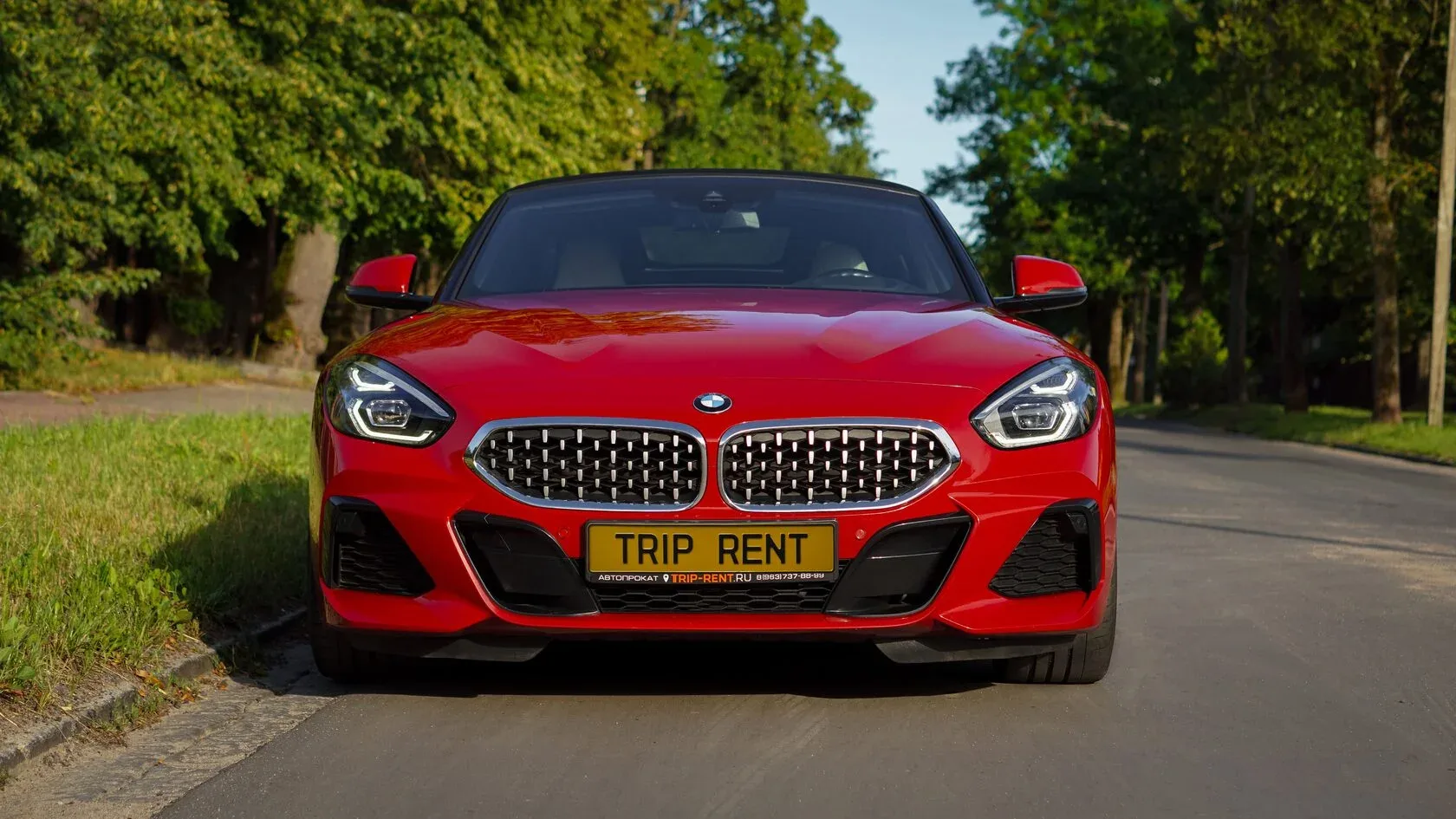 BMW Z4 фото 3