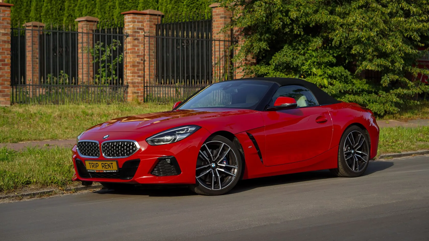 BMW Z4 фото 2