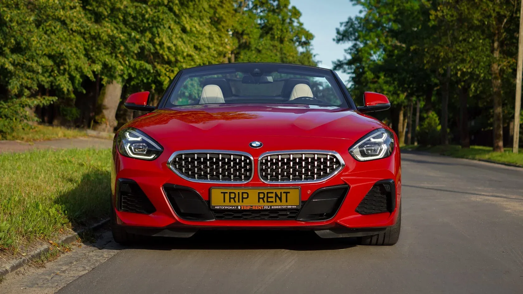 BMW Z4 фото 4